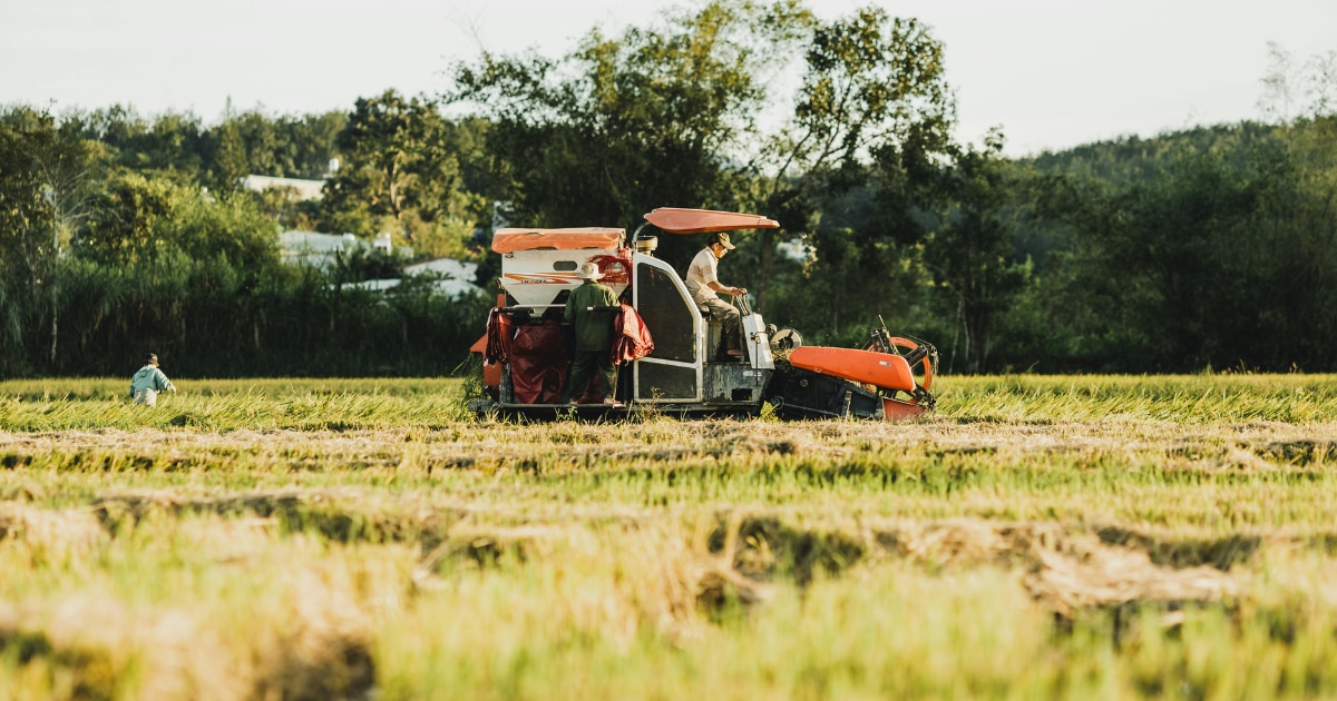 SBTi-FLAG目標を認定された日本企業は、2025年9月18日時点で13社ある