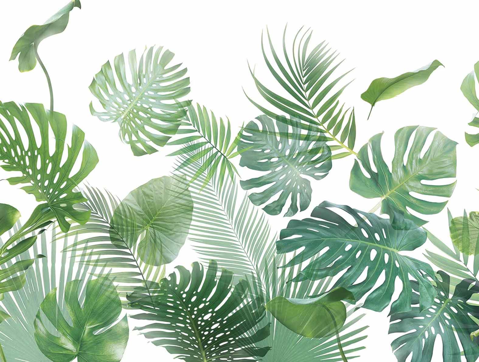 大きくてリアルな植物の柄の拡大図