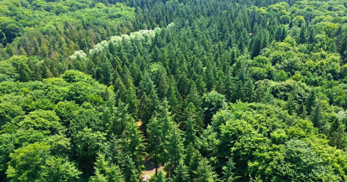 水源涵養量を算定し、情報開示に活用する