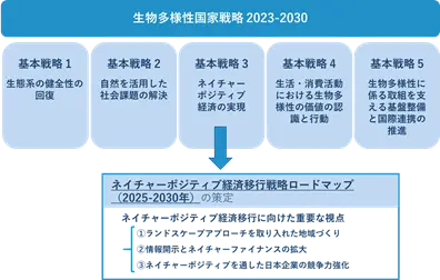 「生物多様性国家戦略2023-2030」と「ネイチャーポジティブ経済移行戦略ロードマップ（2025-2030年）」の関係を示す図。ロードマップ内でランドスケープアプローチが言及されている。