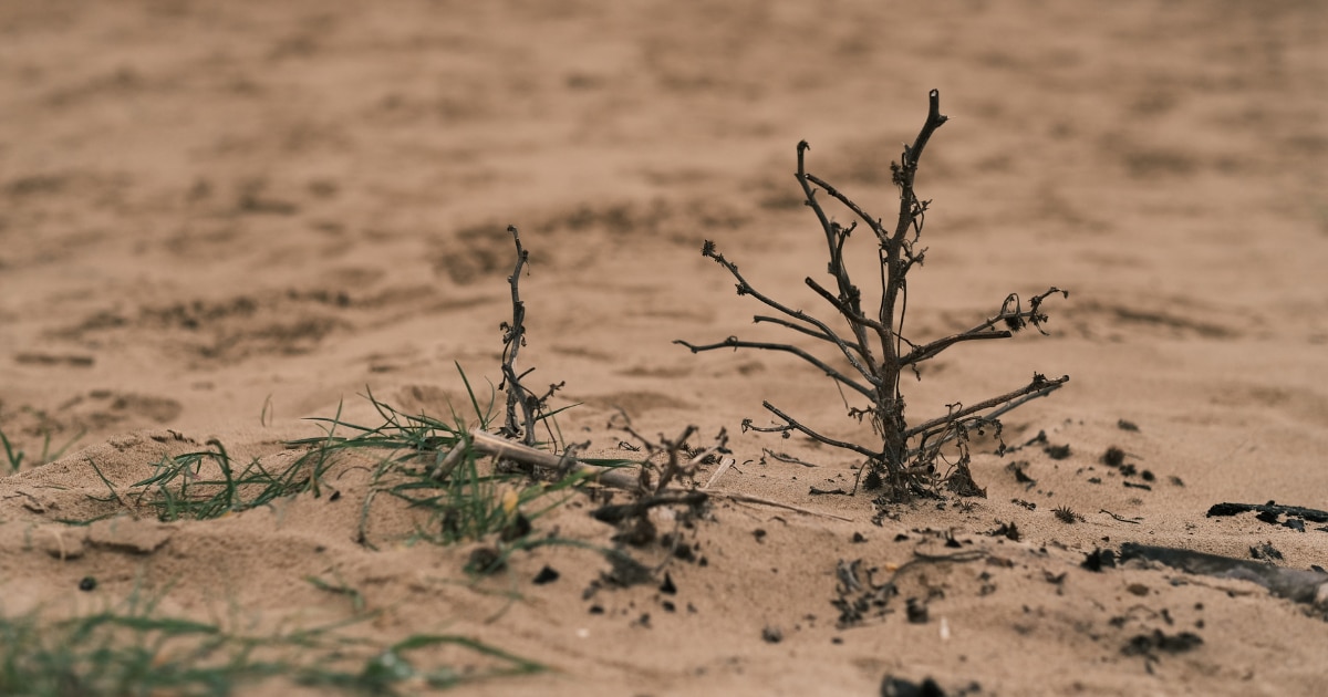 TCFD開示の4項目は、ガバナンス、戦略、リスク管理、指標と目標である