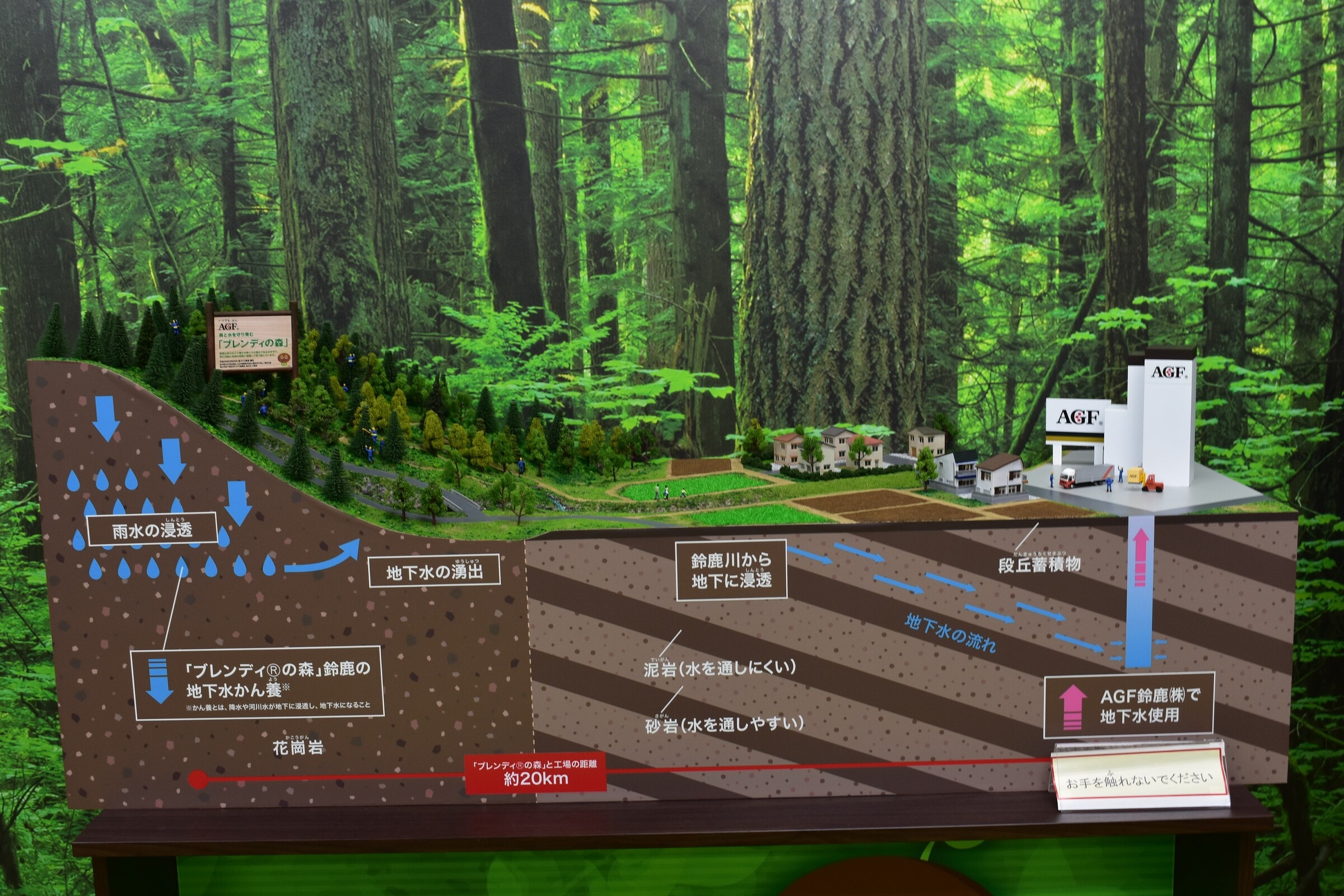 ブレンディの森における水源涵養のイメージ