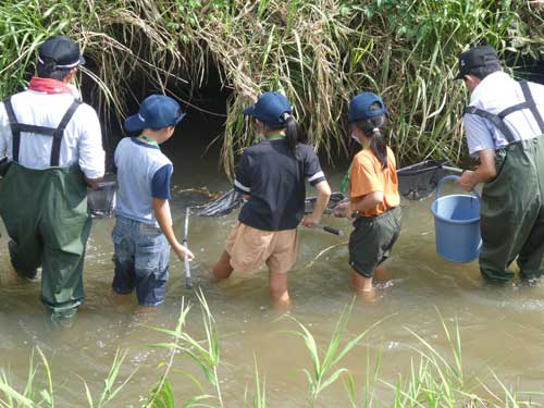 ビオトープで学ぶ子どもたち