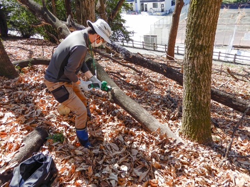 フクロウの巣箱を設置している様子