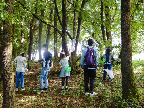 夏季の昆虫採集会の様子
