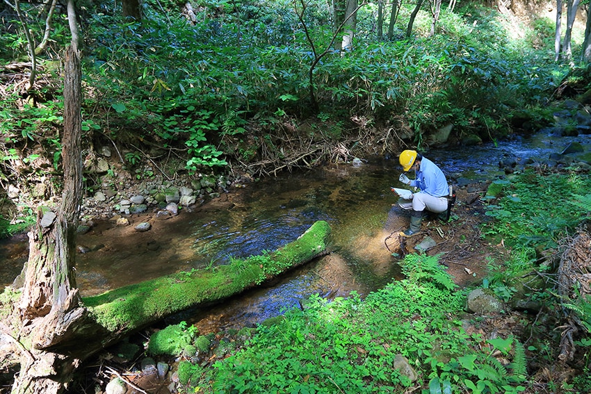 三菱マテリアルにおけるサステナビリティの活動