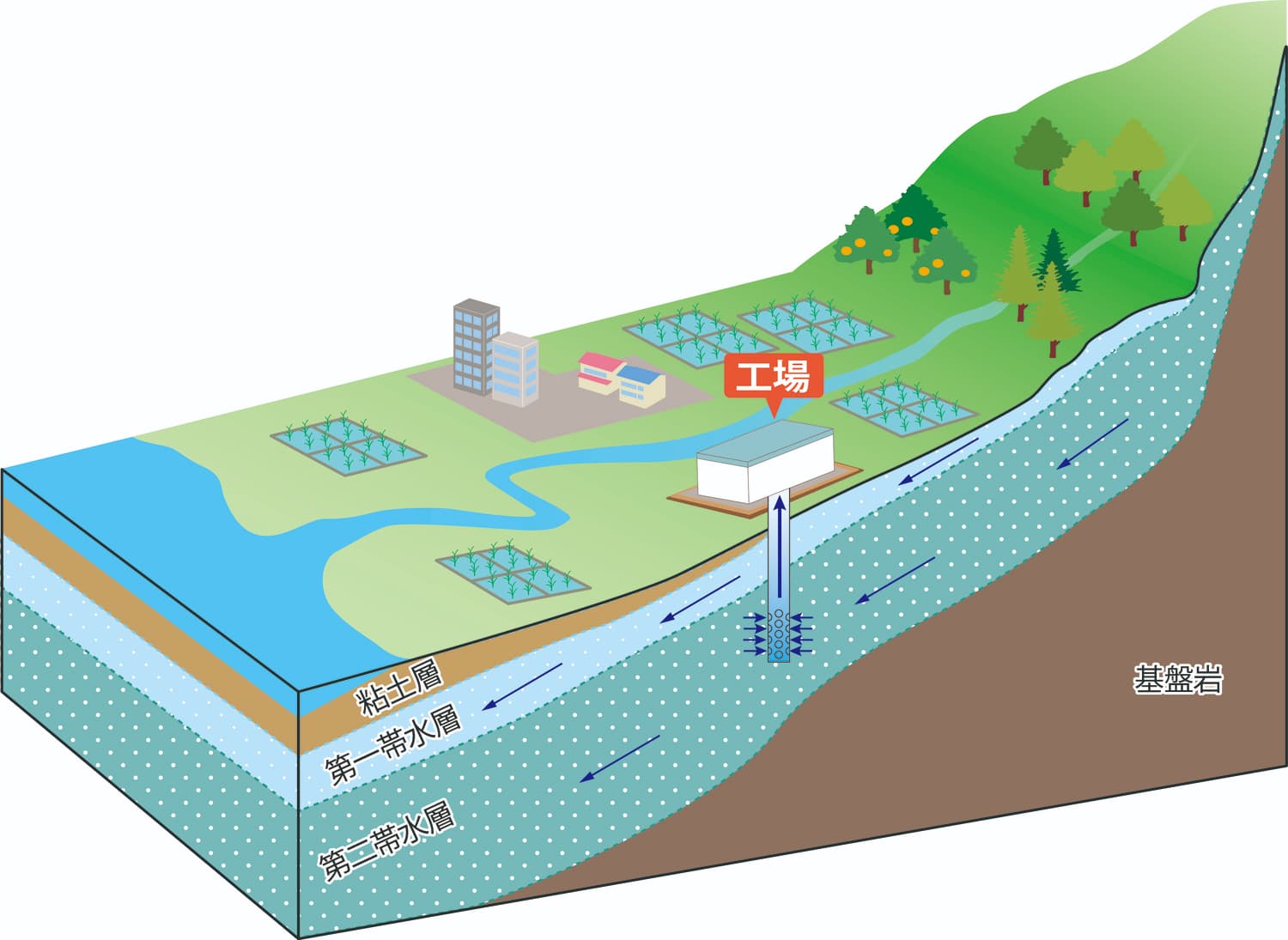 地下水起源調査