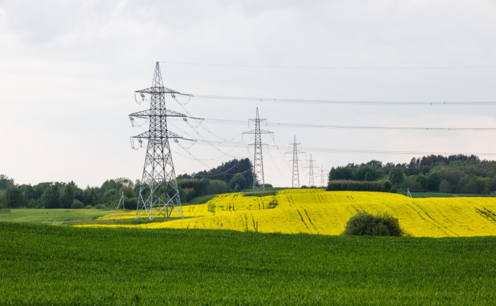 グリーン電力証書購入