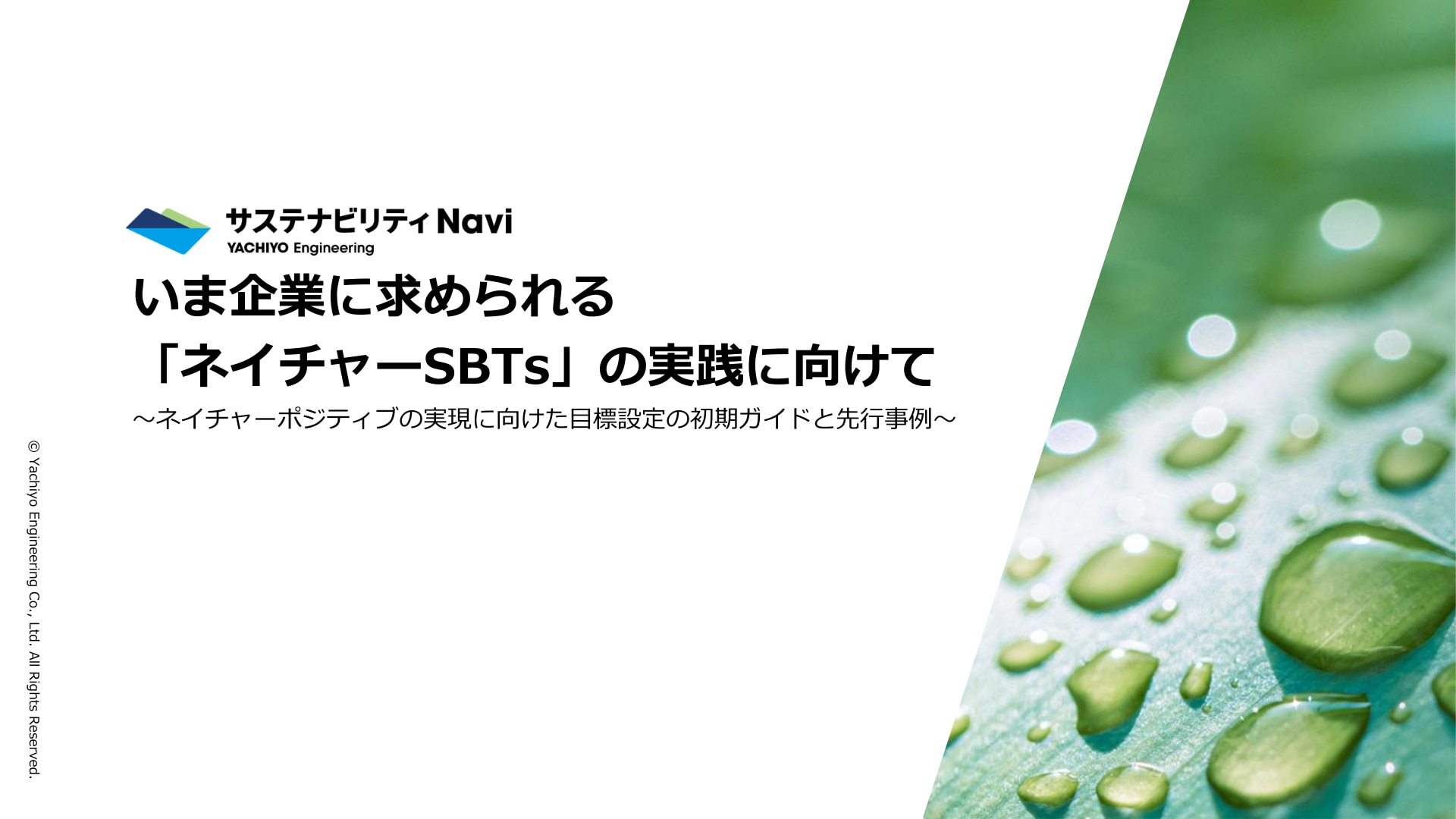いま企業に求められる「ネイチャーSBTs」の実践に向けて―ネイチャーポジティブの実現に向けた目標設定の初期ガイドと先行事例