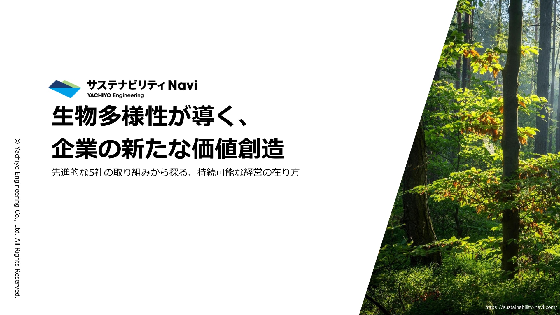 生物多様性が導く、企業の新たな価値創造