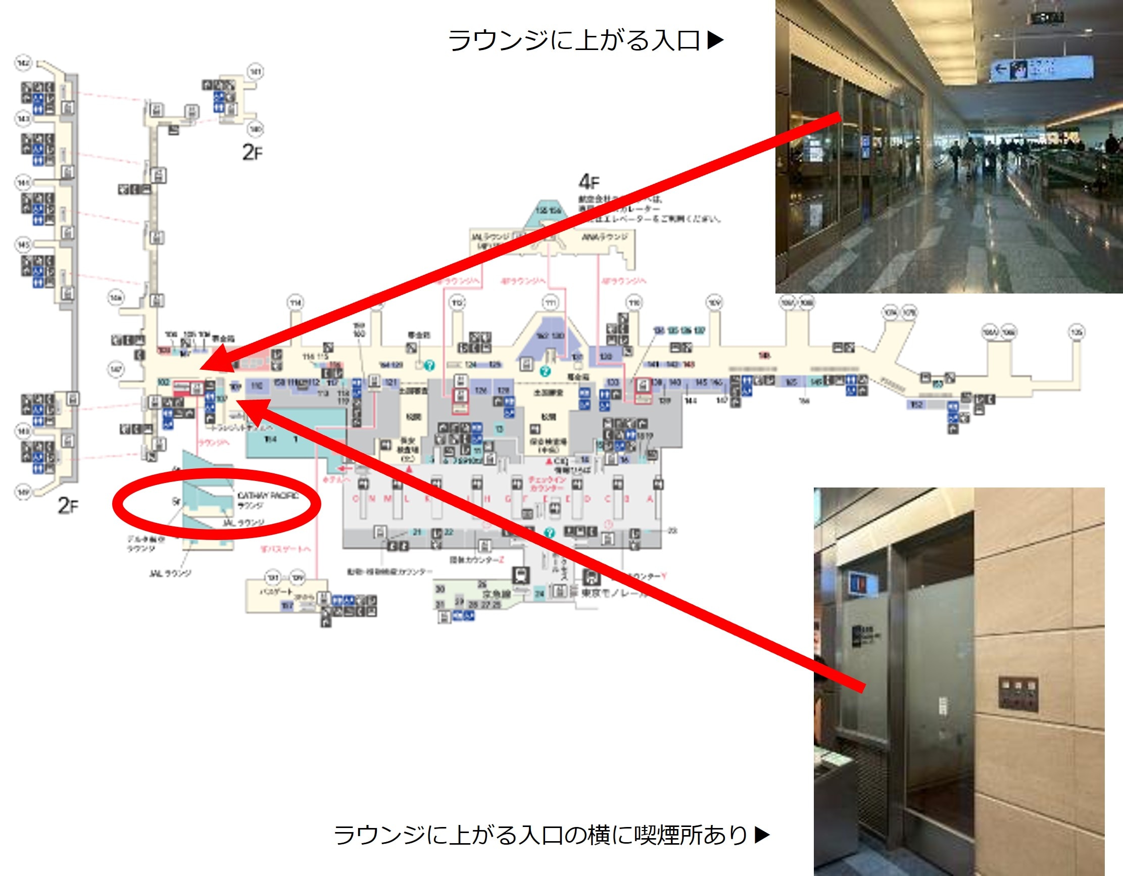 DL×マリオット_2025年度_18