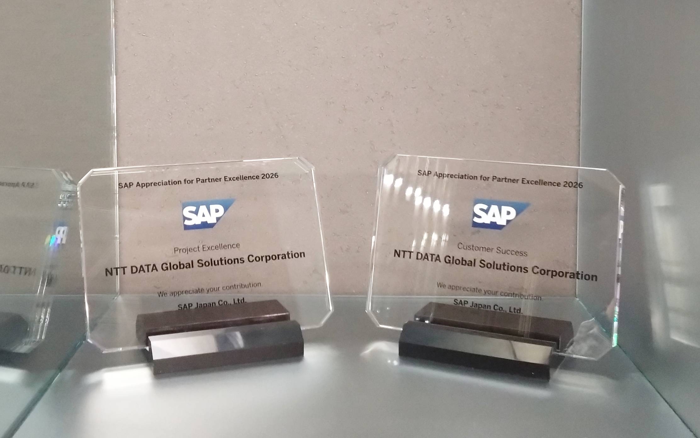 SAP Appreciation for Partner Excellence 受賞歴