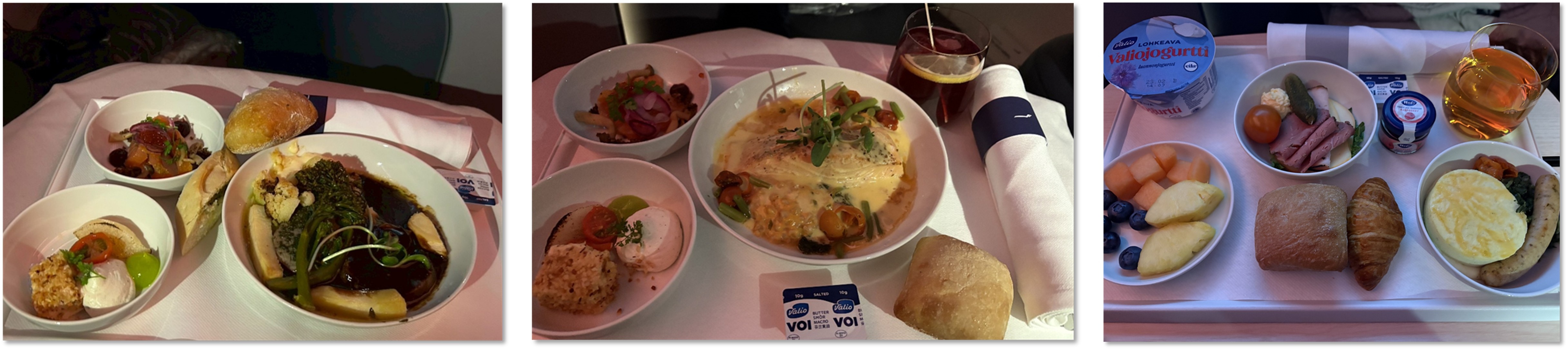 25年度_フランクフルト・デュッセルドルフ_46