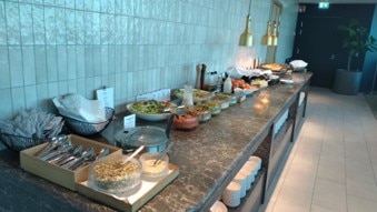 25年度_フランクフルト・デュッセルドルフ_33