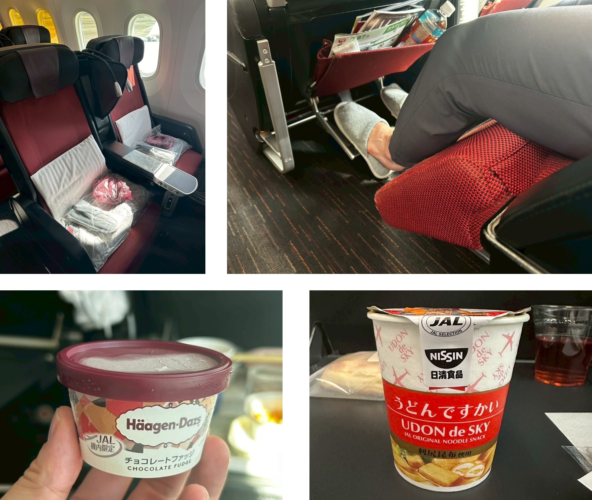 25年度_フランクフルト・デュッセルドルフ_12