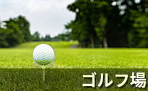 ex_golf