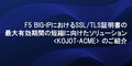 prev-article-image