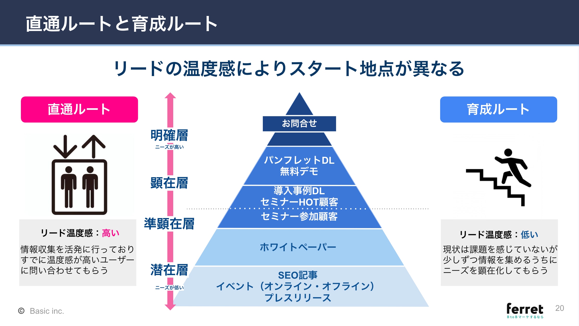 直通ルートと育成ルート