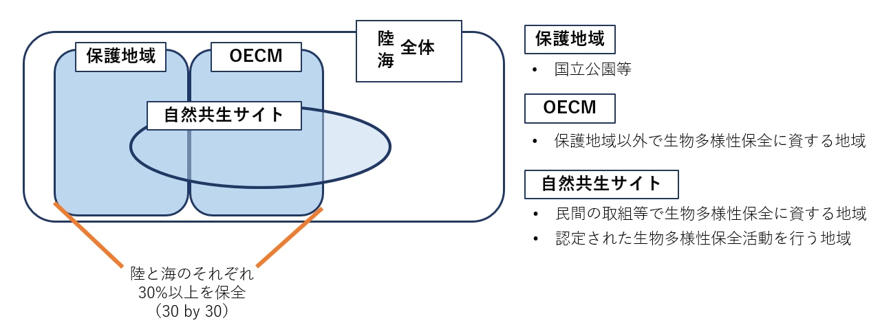 自然共生サイトは陸と海の両方を対象とし、保護地域とOECMにまたがる。