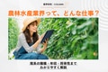 next-article-image