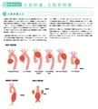 next-article-image