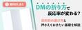 prev-article-image
