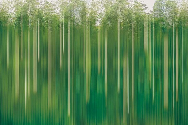 リアルな竹の風景アート壁紙