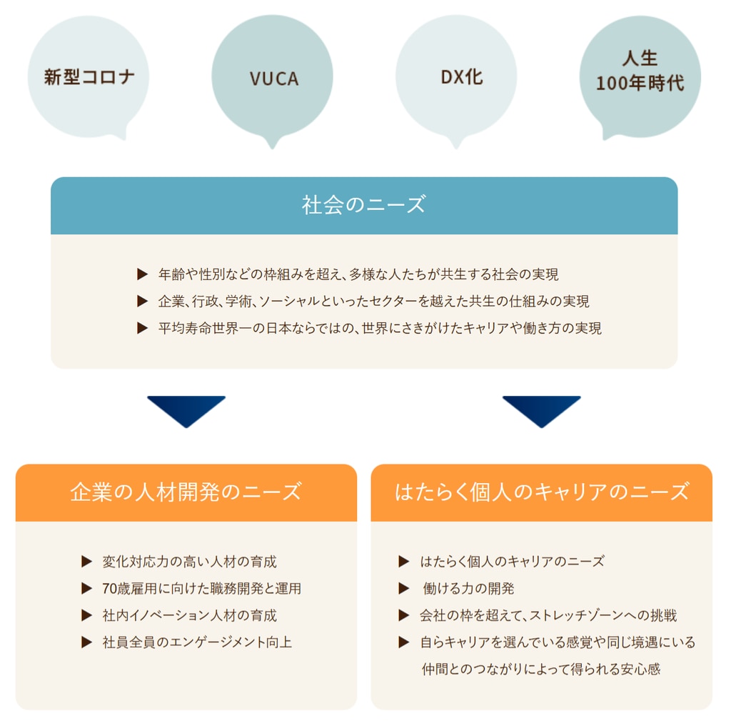 超年齢プロジェクトが取り組むニーズ
