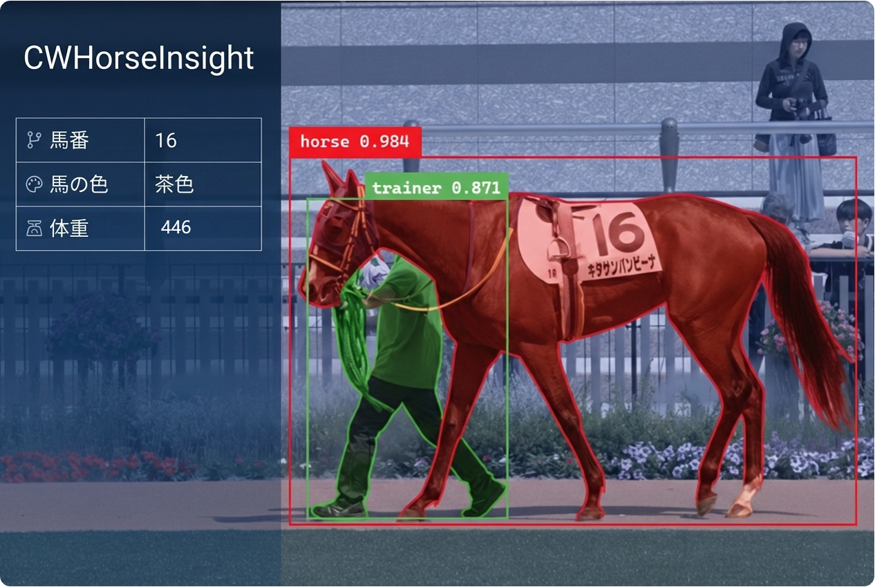 CW HorseInsight2