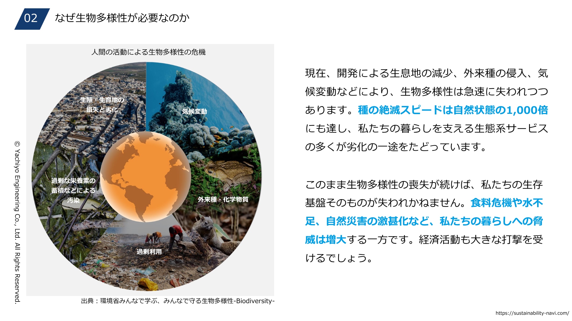 現在、開発による生息地の減少、外来種の侵入、気候変動などにより、生物多様性は急速に失われつつあります。種の絶滅スピードは自然状態の1,000倍にも達し、私たちの暮らしを支える生態系サービスの多くが劣化の一途をたどっています。