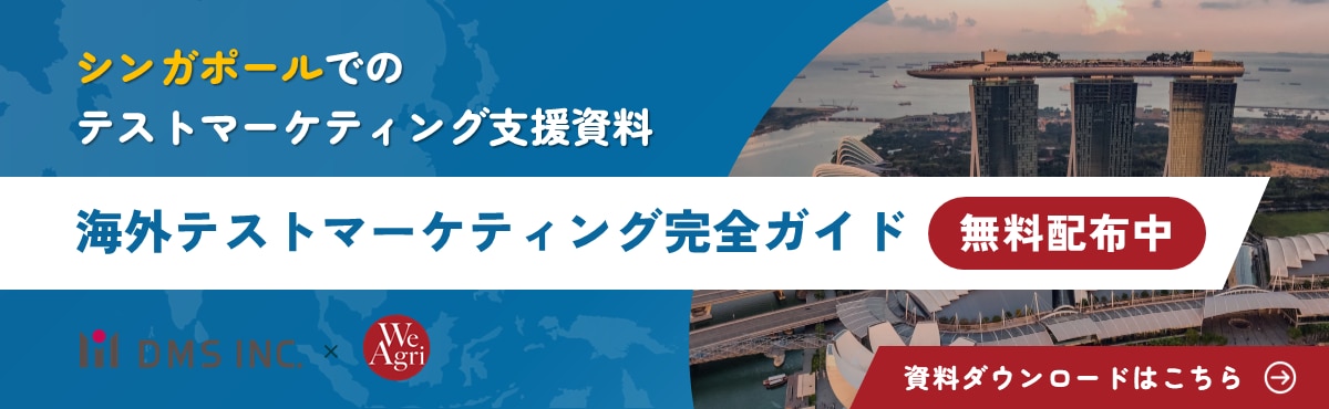 海外テストマーケティング完全ガイド無料配布中