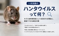 next-article-image