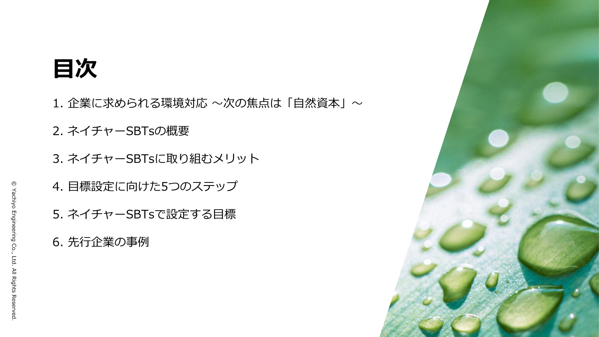 目次　1.企業に求められる環境対応　2.ネイチャーSBTsの概要　3.ネイチャーSBTsに取り組むメリット　4.目標設定に向けた5つのステップ　5.ネイチャーSBTsで設定する目標　6.先行企業の事例