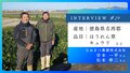 next-article-image