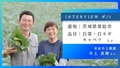 prev-article-image