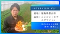 prev-article-image