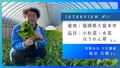 next-article-image