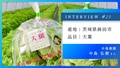 next-article-image