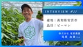 prev-article-image
