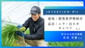 next-article-image
