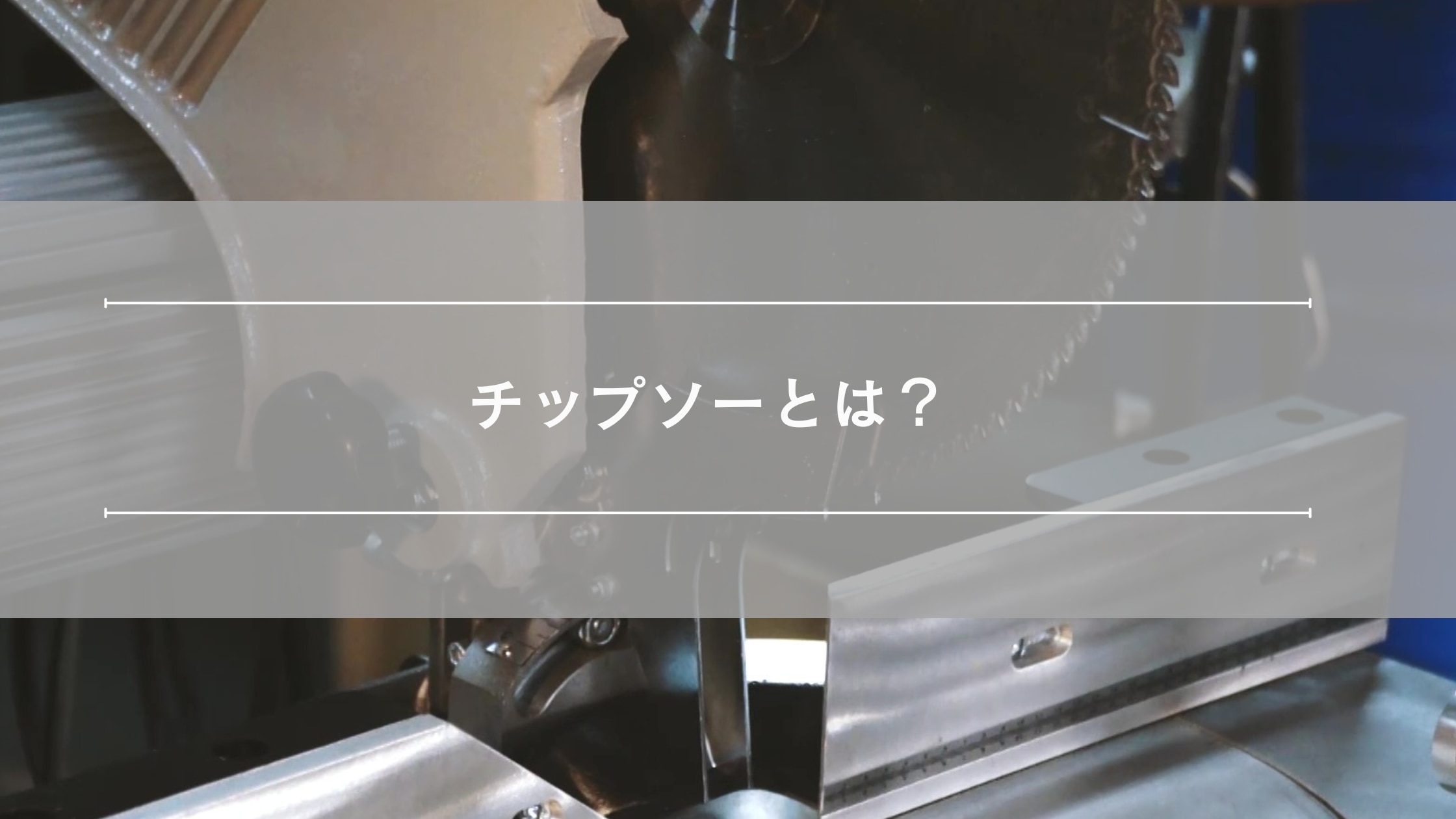 catch-img