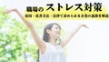 next-article-image