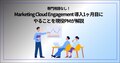 next-article-image