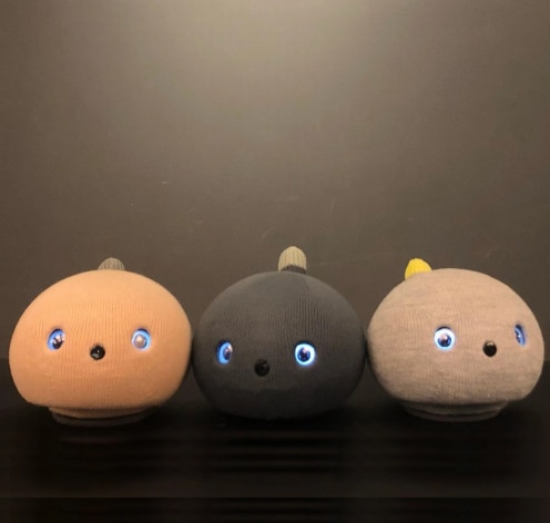 NICOBO_2