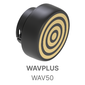 wav50