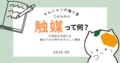 next-article-image