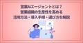 prev-article-image