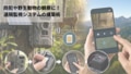 prev-article-image