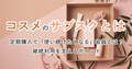 prev-article-image