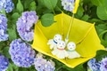 prev-article-image